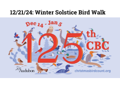 Winter Solstice Bird Walk 